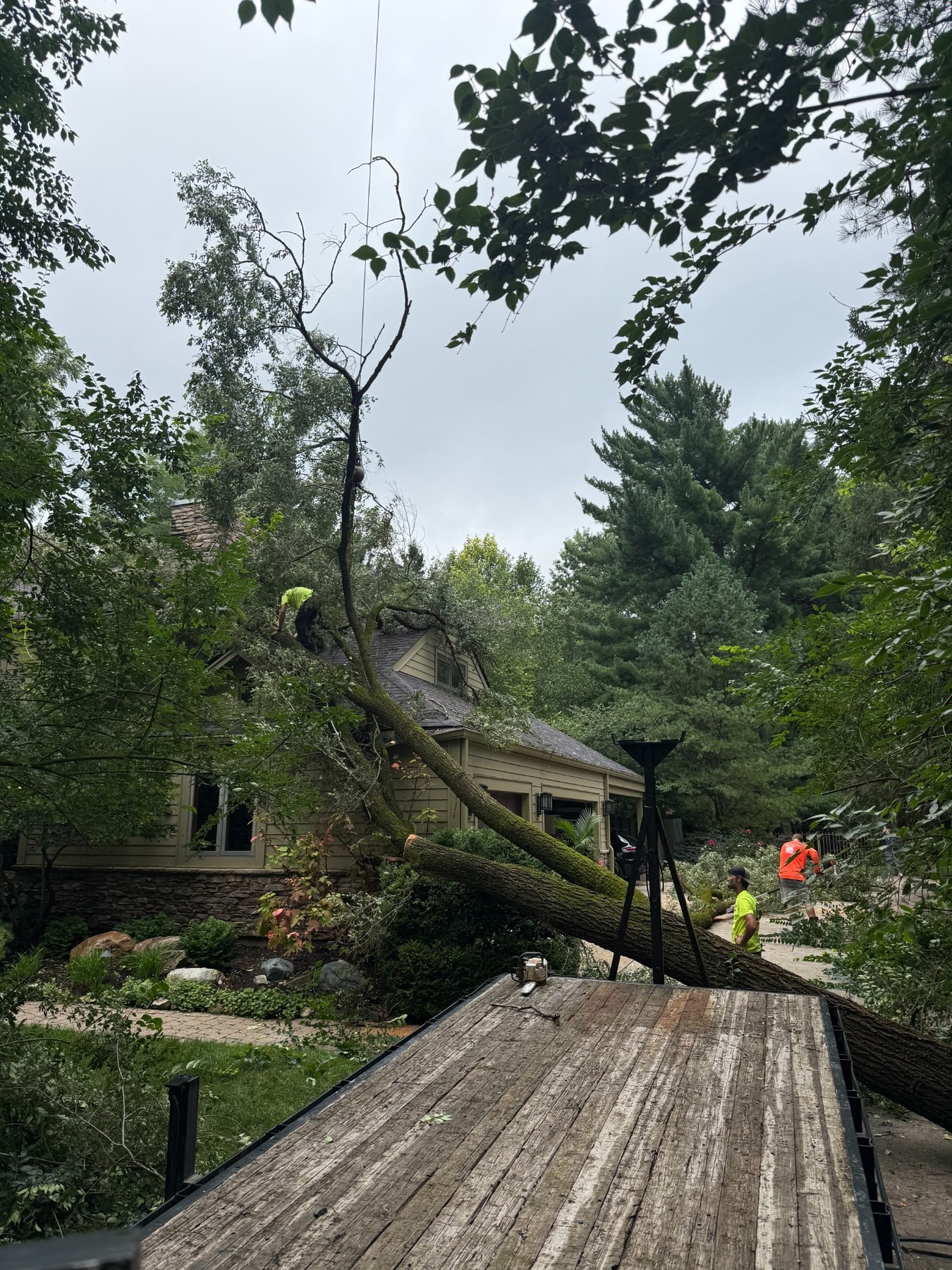 Crane-assisted tree removal beside a house